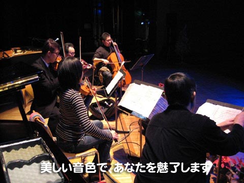 美しい音色で、あなたを魅了します