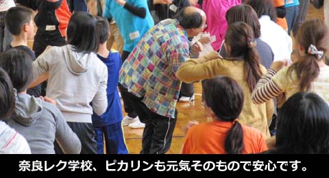 奈良レク学校、ピカリンも元気そのもので安心です。