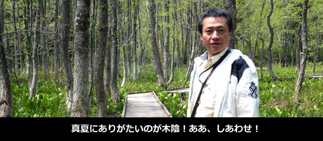 真夏にありがたいのが木陰!ああ、しあわせ!