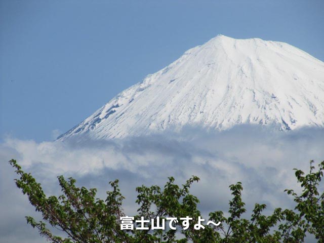 富士山ですよ～