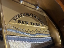 スタインウェイ５