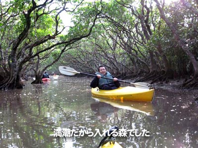 満潮だから入れる森でした