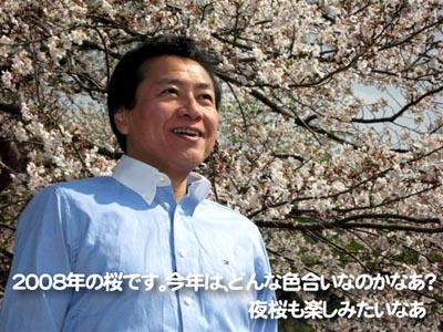 ２００８年の桜です。今年は、どんな色合いなのかなあ？夜桜も楽しみたいなあ