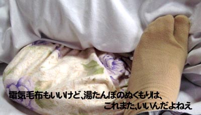 電気毛布もいいけど、湯たんぽのぬくもりは、これまた、いいんだよねえ