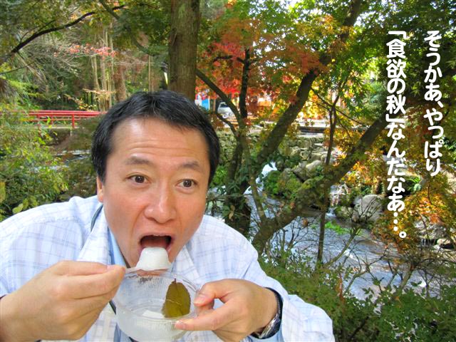 そうかあ、やっぱり「食欲の秋」なんだなあ…