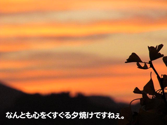 なんとも心をくすぐる夕焼けですねぇ。