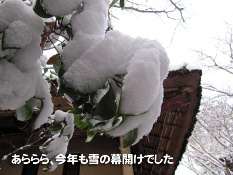 あららら、今年も雪の幕開けでした