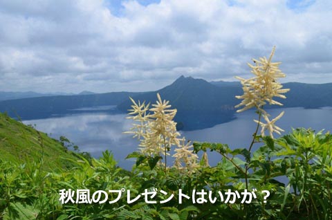 秋風のプレゼントはいかが？