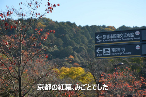 京都の紅葉、みごとでした